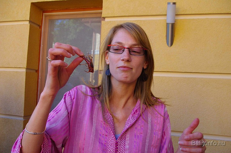 afrikanap_2009_036.jpg