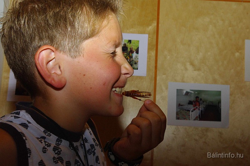 afrikanap_2009_044.jpg