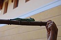 afrikanap_2009_097