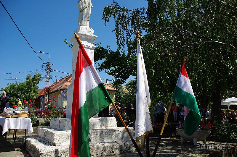 koszoruzas_2009_005.jpg