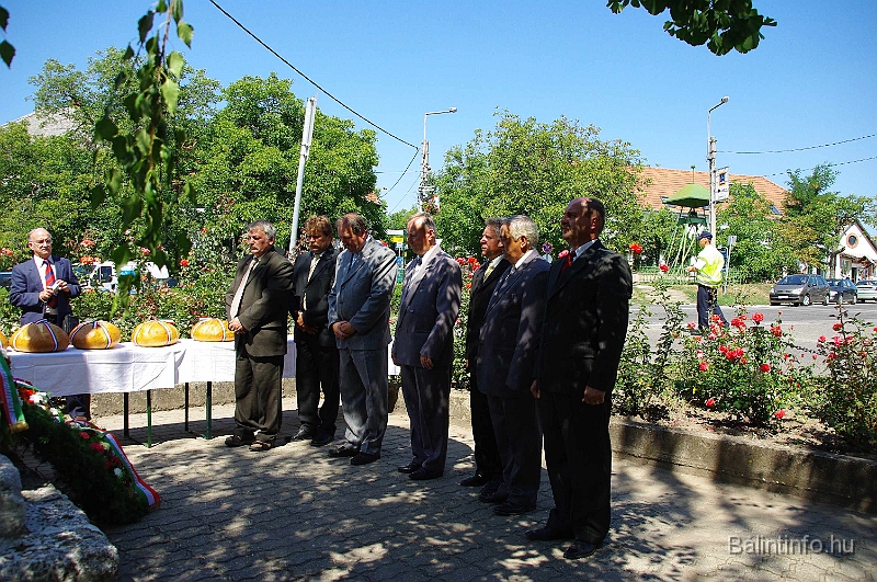 koszoruzas_2009_033.jpg