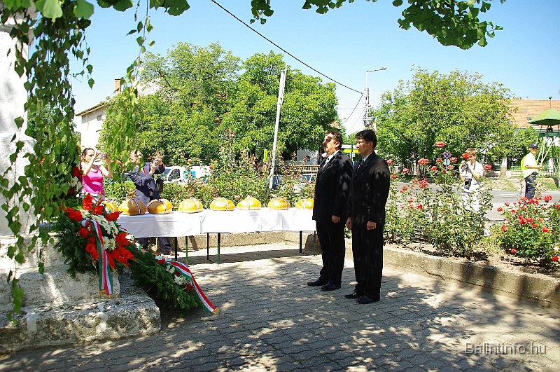 koszoruzas_2009_035.jpg