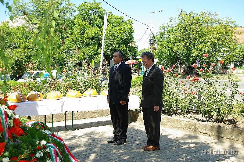 koszoruzas_2009_041.jpg