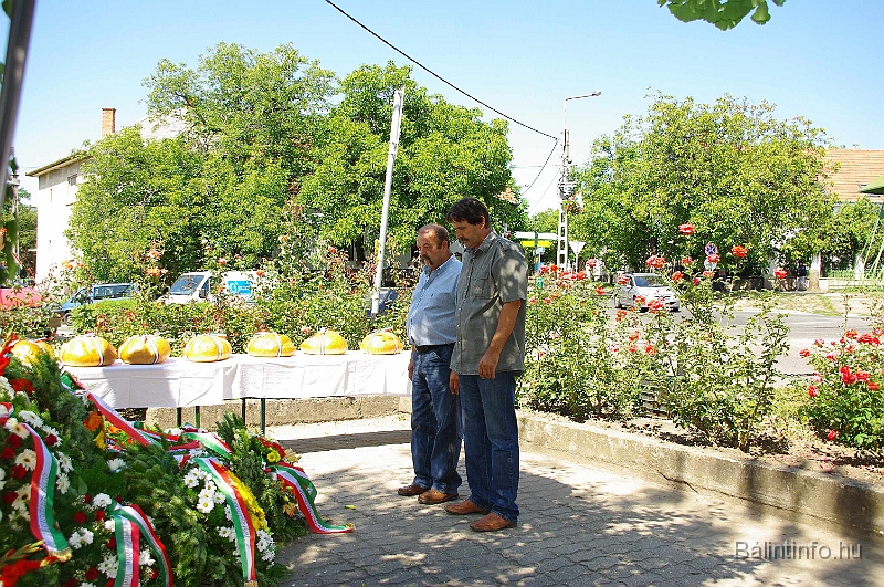 koszoruzas_2009_053.jpg