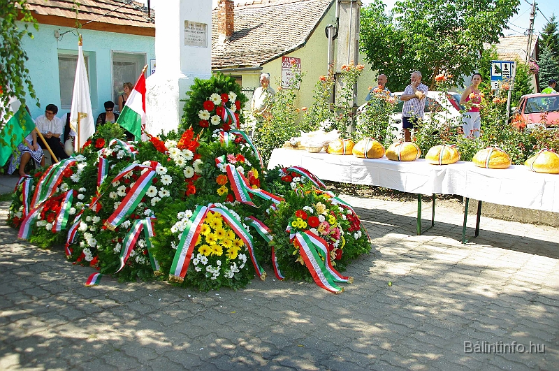 koszoruzas_2009_054.jpg