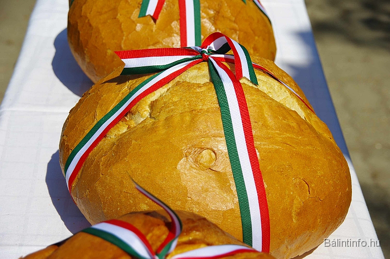 koszoruzas_2009_064.jpg