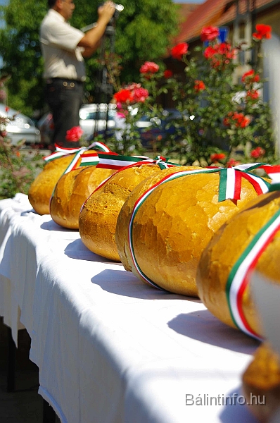 koszoruzas_2009_065.jpg