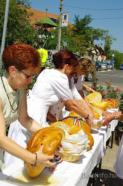 koszoruzas_2009_075.jpg