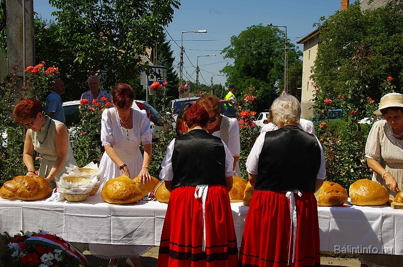 koszoruzas_2009_077.jpg
