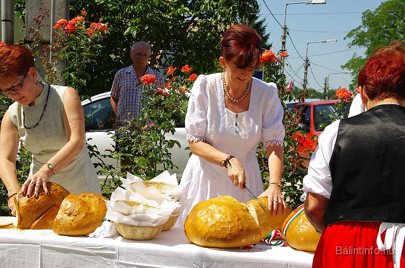 koszoruzas_2009_079.jpg