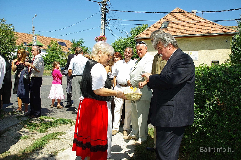 koszoruzas_2009_082.jpg