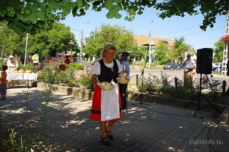 koszoruzas_2009_088.jpg