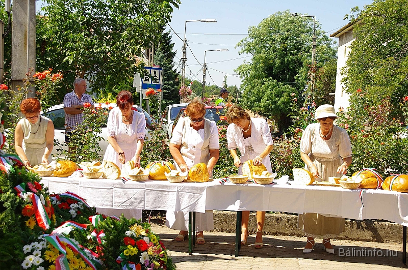 koszoruzas_2009_091.jpg