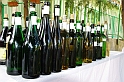 borverseny_2009_014