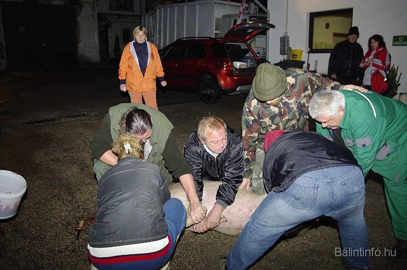 disznovagas_2008_009.jpg