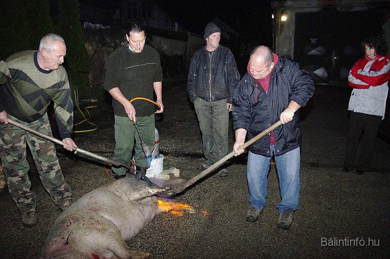 disznovagas_2008_023.jpg