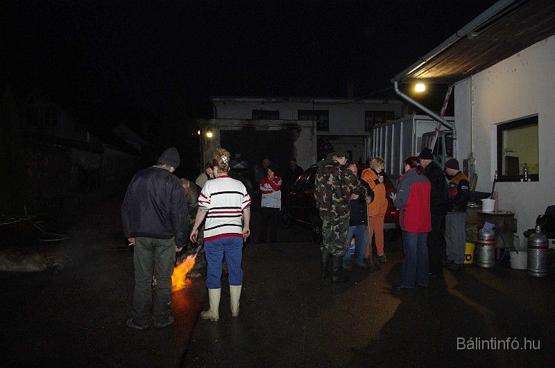 disznovagas_2008_027.jpg