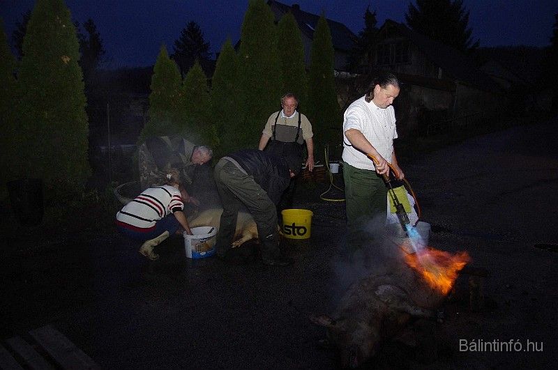 disznovagas_2008_035.jpg