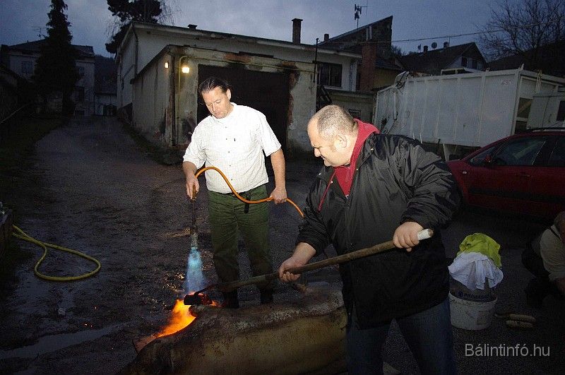 disznovagas_2008_037.jpg
