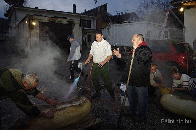 disznovagas_2008_038.jpg