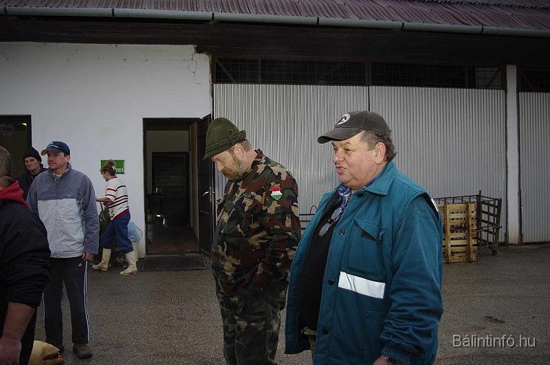 disznovagas_2008_051.jpg