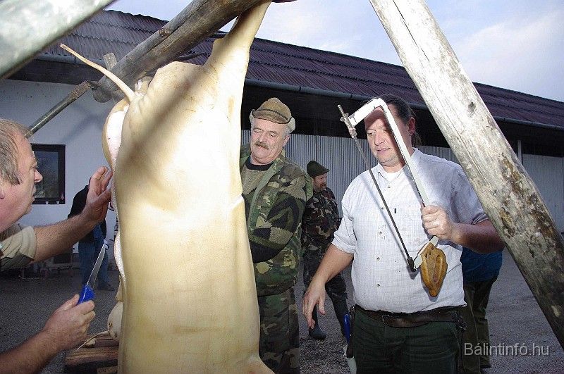 disznovagas_2008_054.jpg