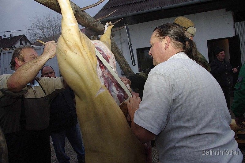 disznovagas_2008_055.jpg