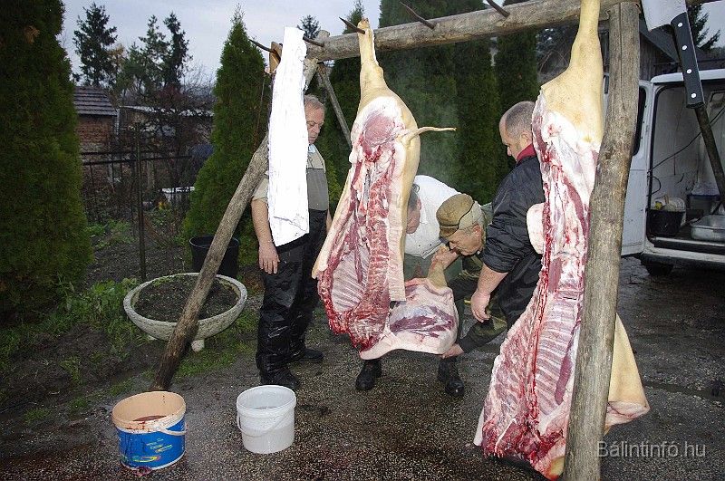 disznovagas_2008_061.jpg