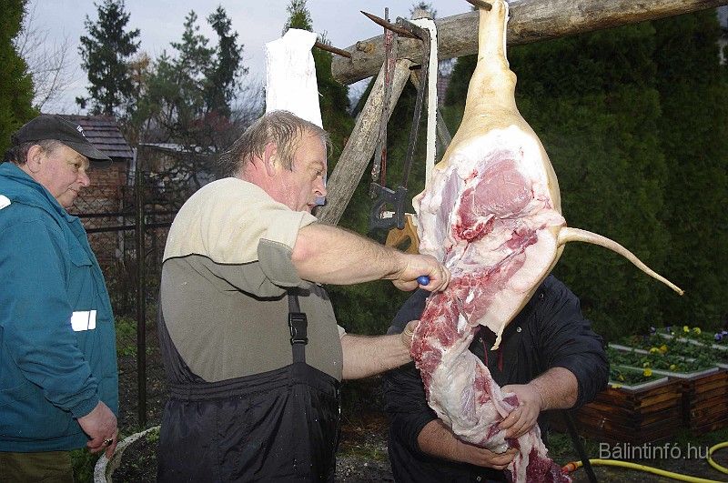 disznovagas_2008_064.jpg