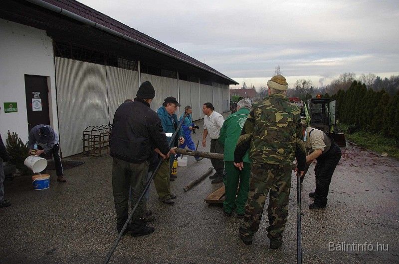 disznovagas_2008_069.jpg