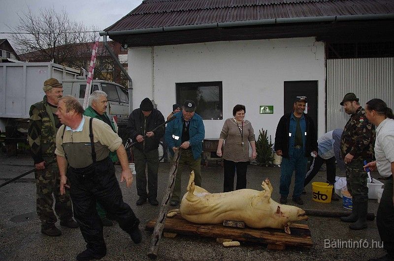 disznovagas_2008_070.jpg