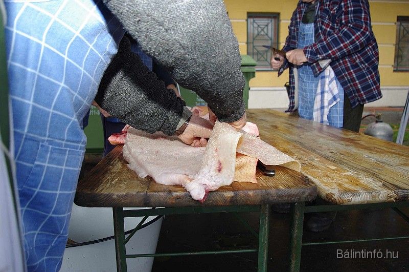 disznovagas_2008_104.jpg