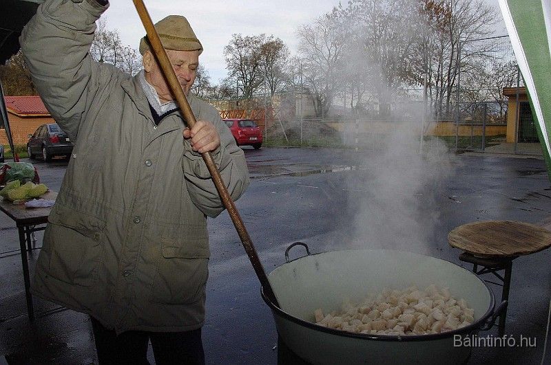 disznovagas_2008_113.jpg
