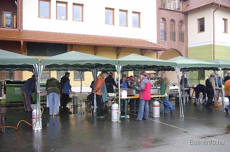 disznovagas_2008_118.jpg