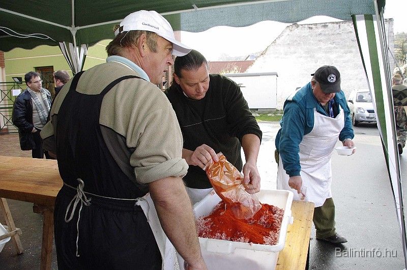 disznovagas_2008_152.jpg