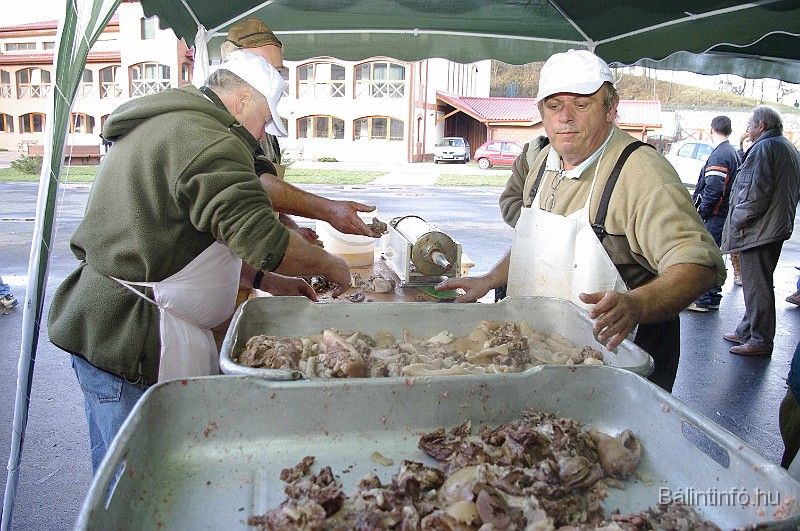 disznovagas_2008_183.jpg