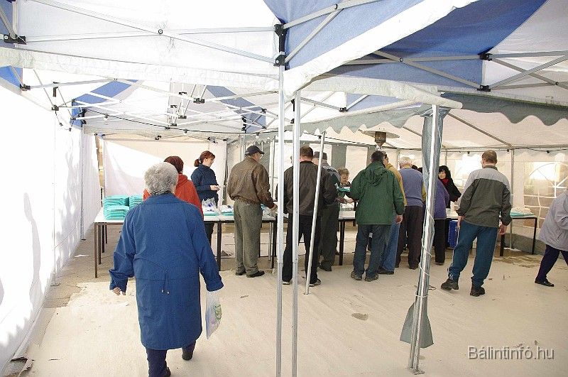 disznovagas_2008_199.jpg