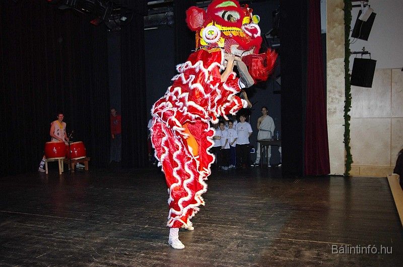disznovagas_2008_268.jpg