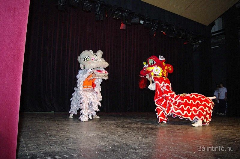 disznovagas_2008_273.jpg