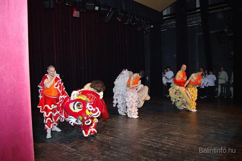 disznovagas_2008_276.jpg