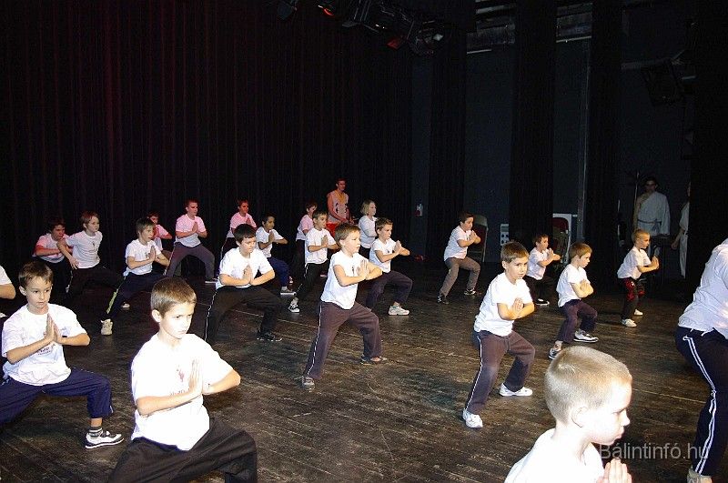disznovagas_2008_288.jpg
