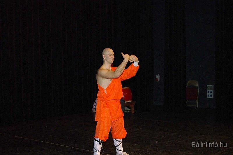 disznovagas_2008_298.jpg
