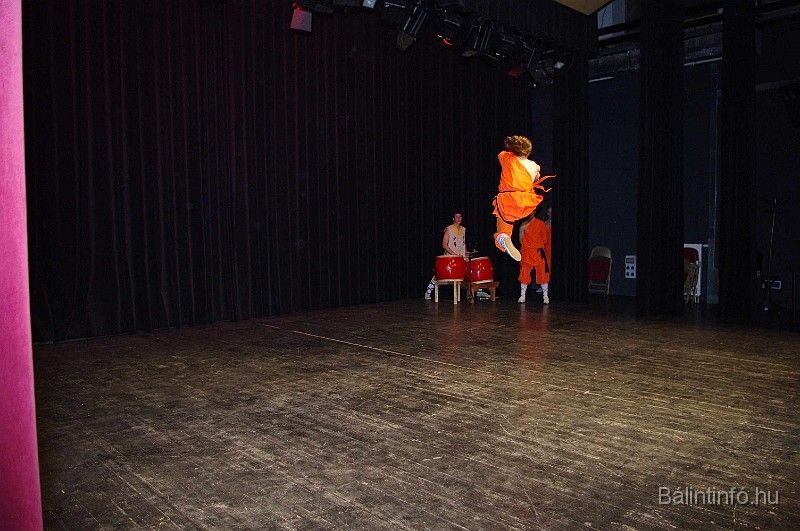 disznovagas_2008_317.jpg
