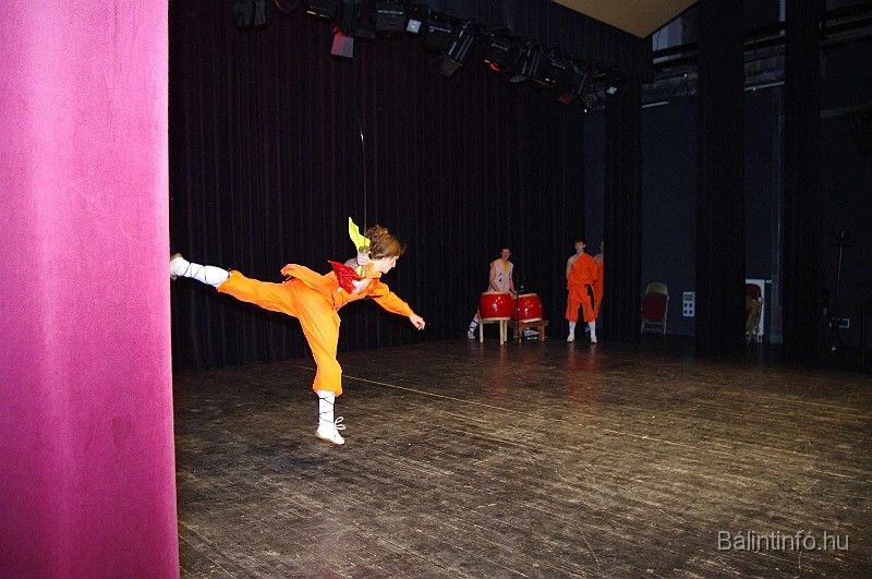 disznovagas_2008_319.jpg