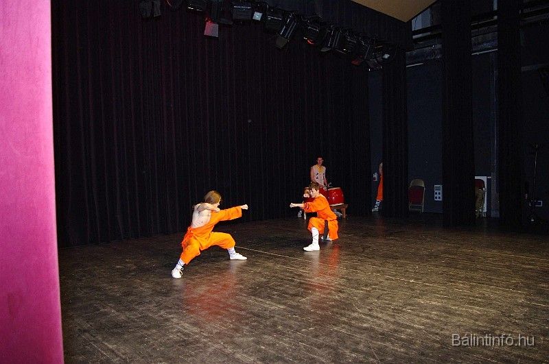 disznovagas_2008_320.jpg