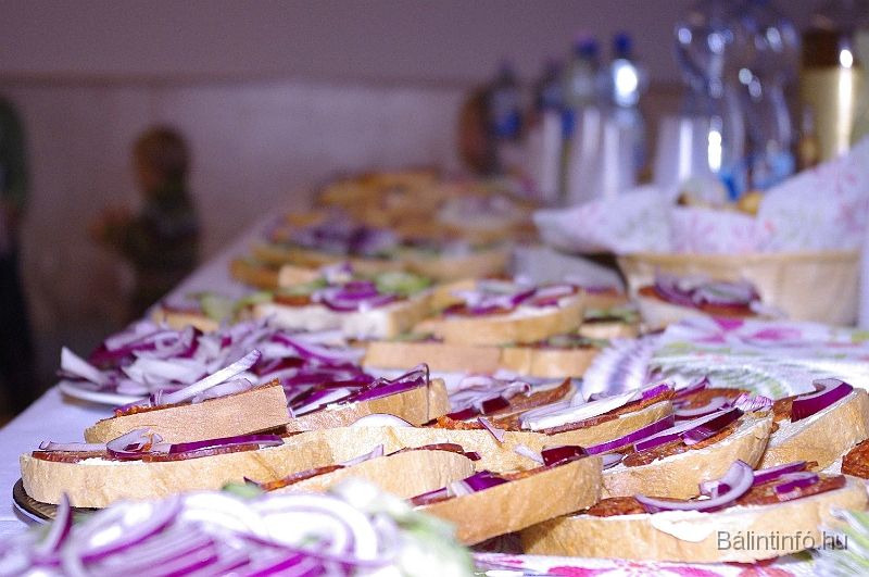erdelyitanchaz_2008_014.jpg