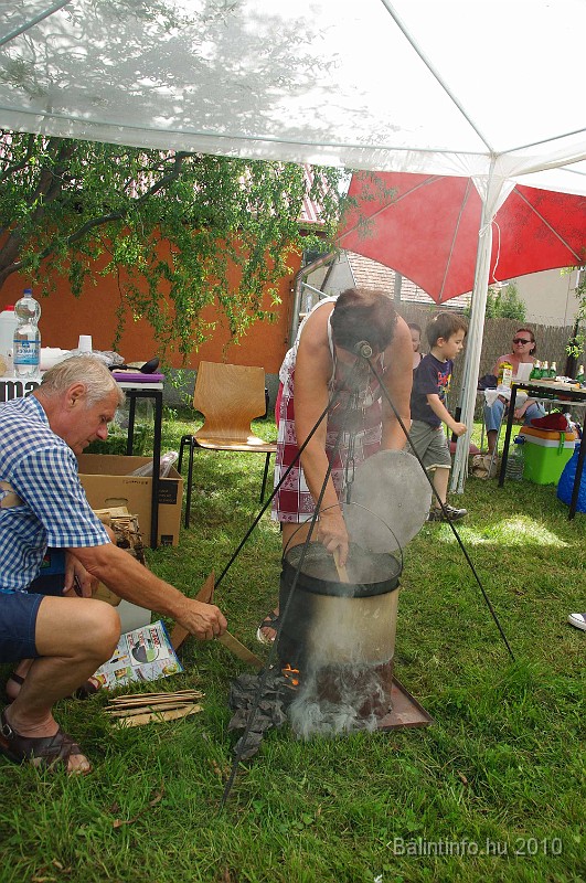 balinti_sokadalom_2010_006.jpg