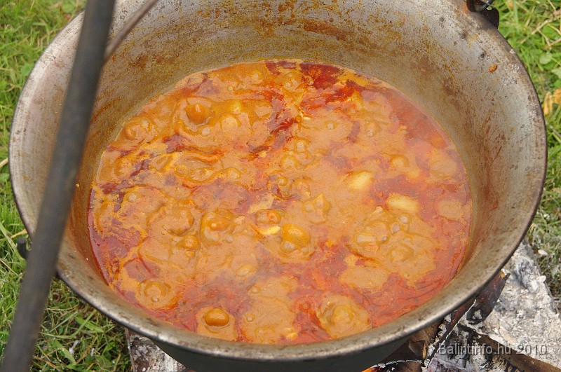 balinti_sokadalom_2010_011.jpg