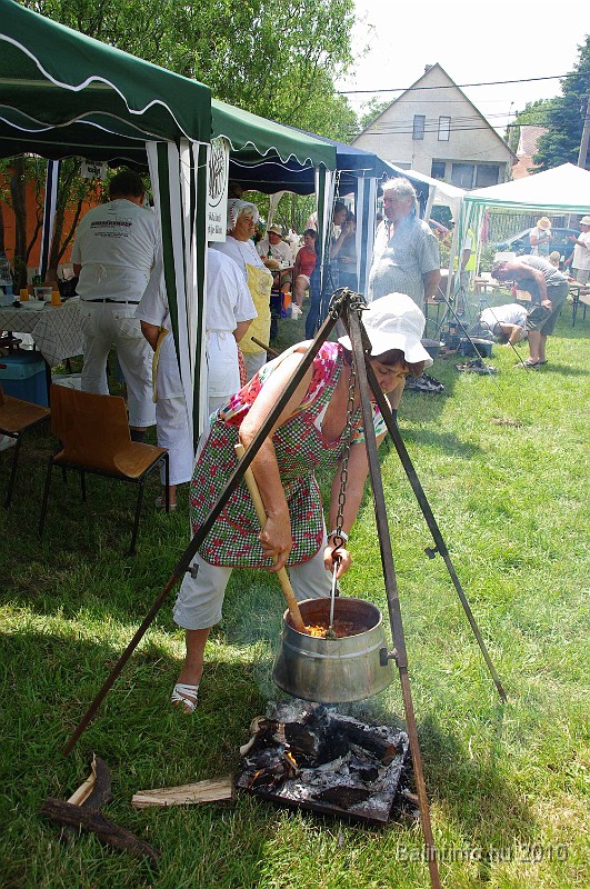 balinti_sokadalom_2010_016.jpg