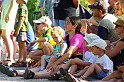 balinti_sokadalom_2010_105